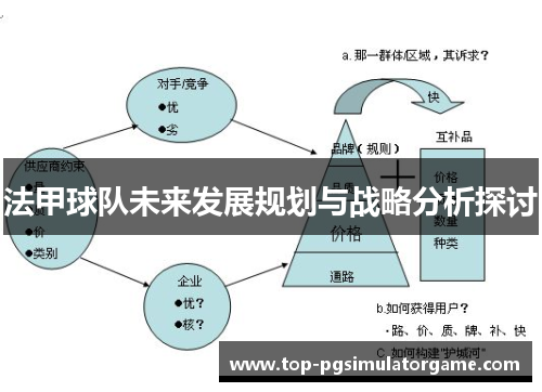 法甲球队未来发展规划与战略分析探讨