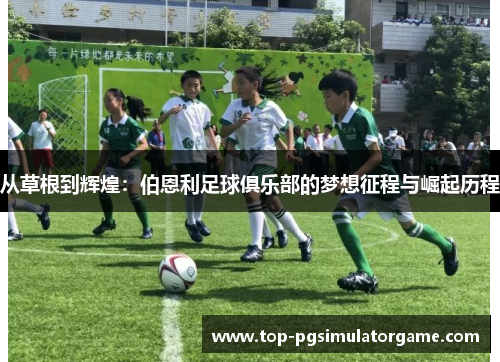 从草根到辉煌：伯恩利足球俱乐部的梦想征程与崛起历程