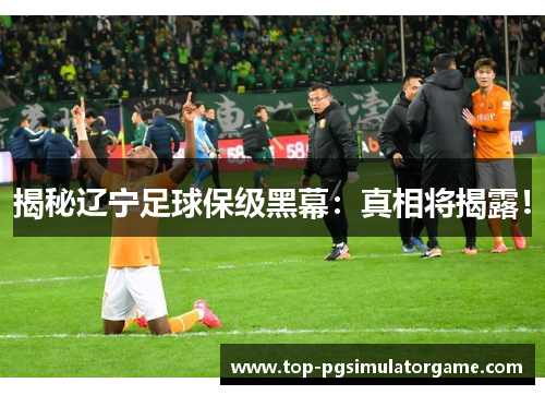 揭秘辽宁足球保级黑幕：真相将揭露！
