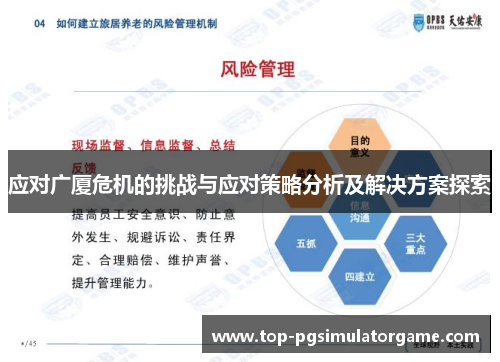 应对广厦危机的挑战与应对策略分析及解决方案探索