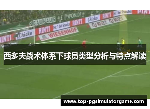 西多夫战术体系下球员类型分析与特点解读