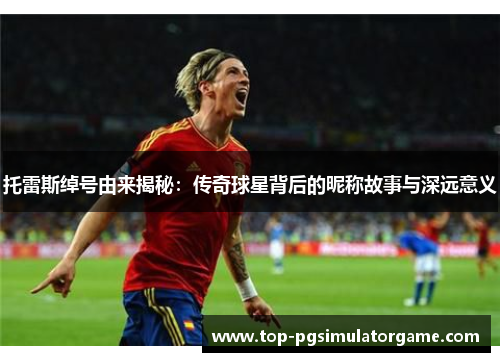 托雷斯绰号由来揭秘：传奇球星背后的昵称故事与深远意义