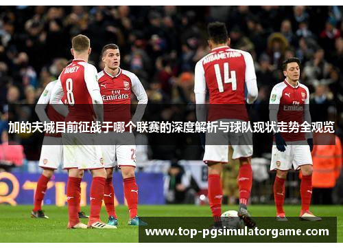 加的夫城目前征战于哪个联赛的深度解析与球队现状走势全观览