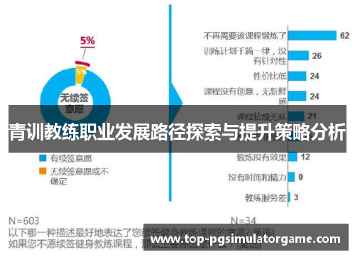 青训教练职业发展路径探索与提升策略分析