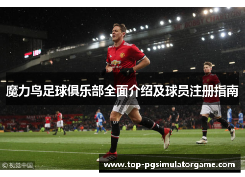 魔力鸟足球俱乐部全面介绍及球员注册指南