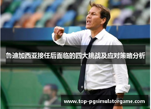 鲁迪加西亚接任后面临的四大挑战及应对策略分析