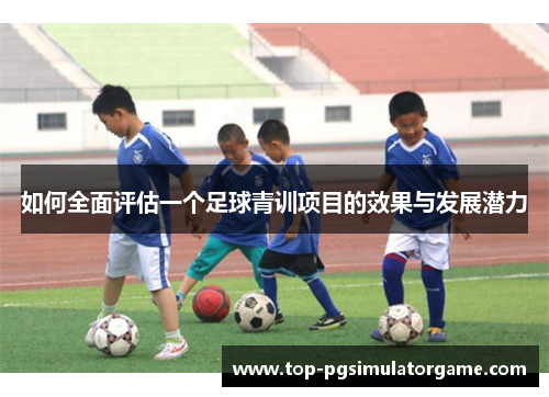 如何全面评估一个足球青训项目的效果与发展潜力
