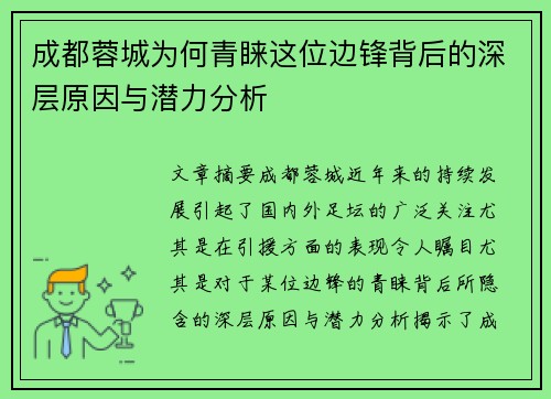 成都蓉城为何青睐这位边锋背后的深层原因与潜力分析